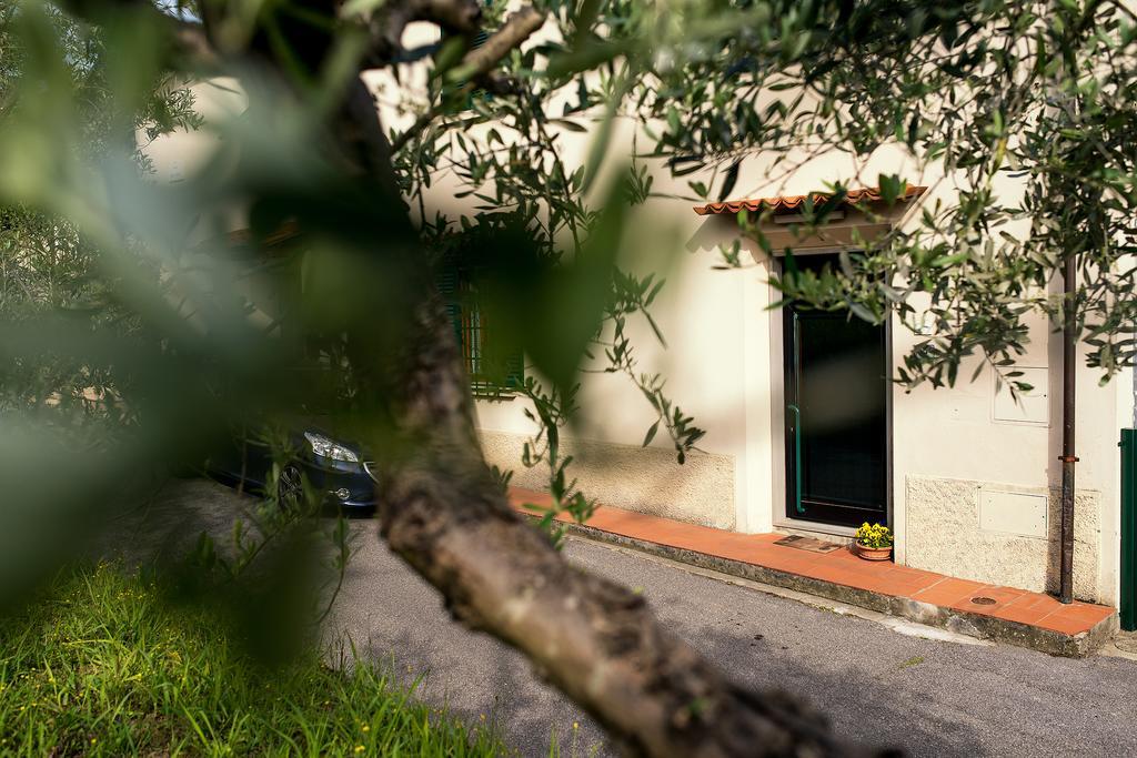 Affittacamere Donati Nada Carmignano Luaran gambar